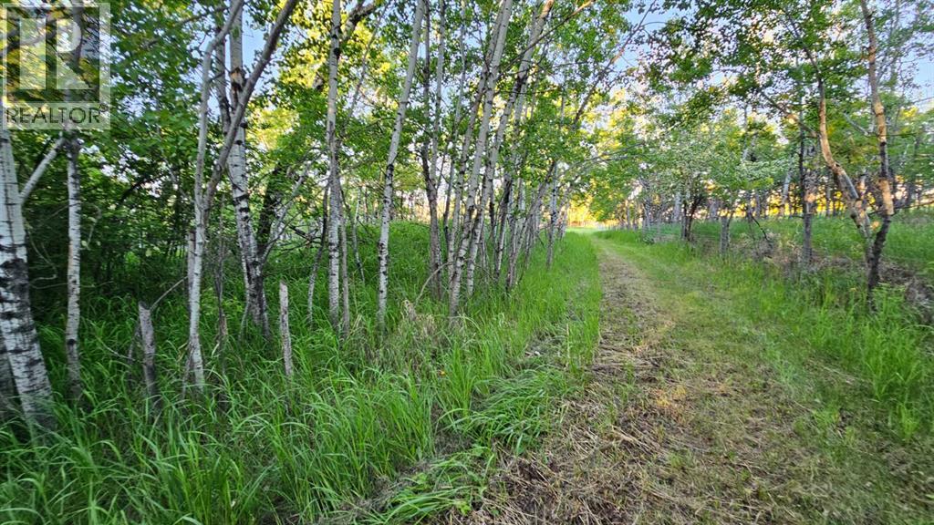 5314 Municipal Road, Coronation, Alberta  T0C 1C0 - Photo 37 - A2223635