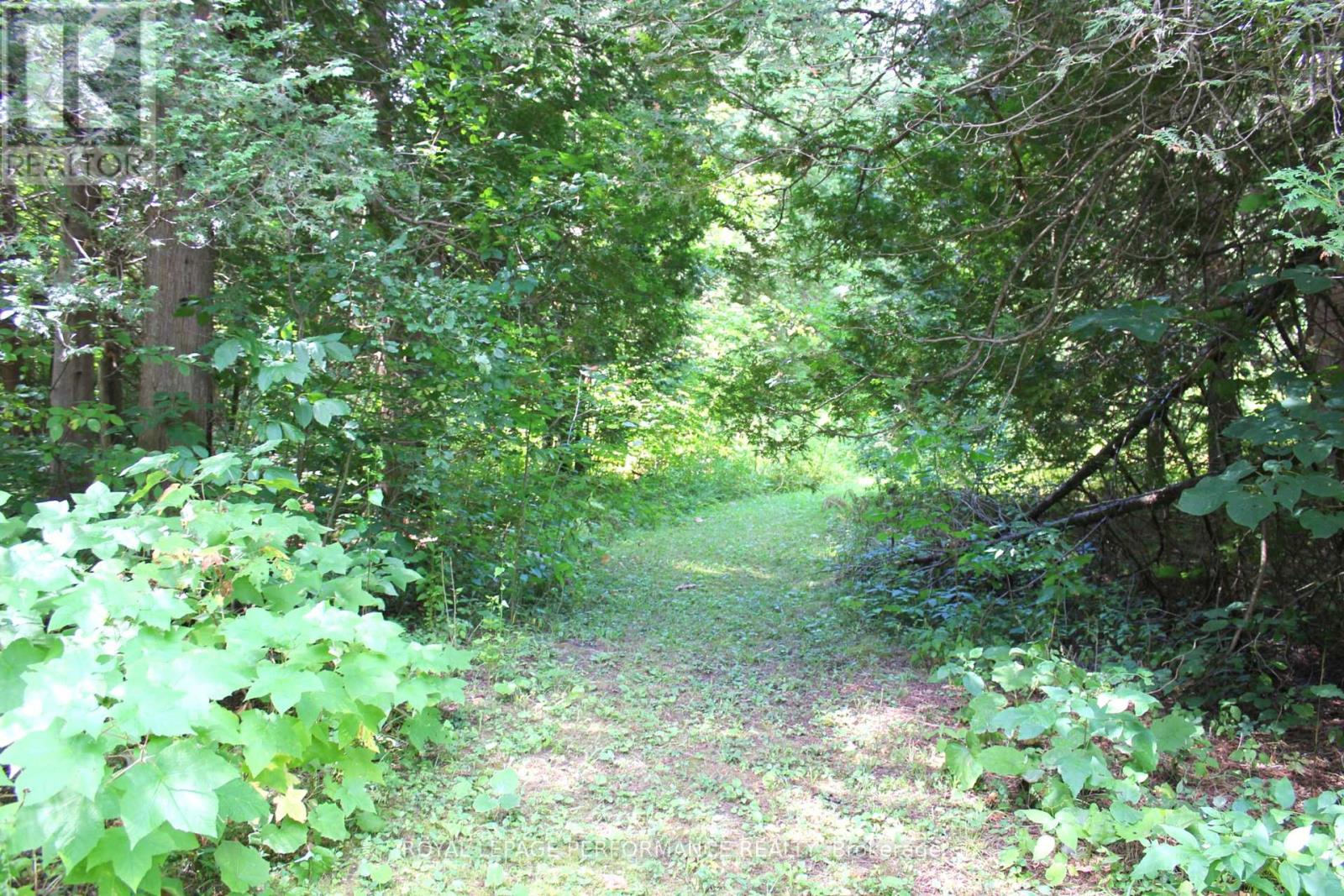4692 O'keefe Road, South Stormont, Ontario  K0C 2A0 - Photo 42 - X12358897