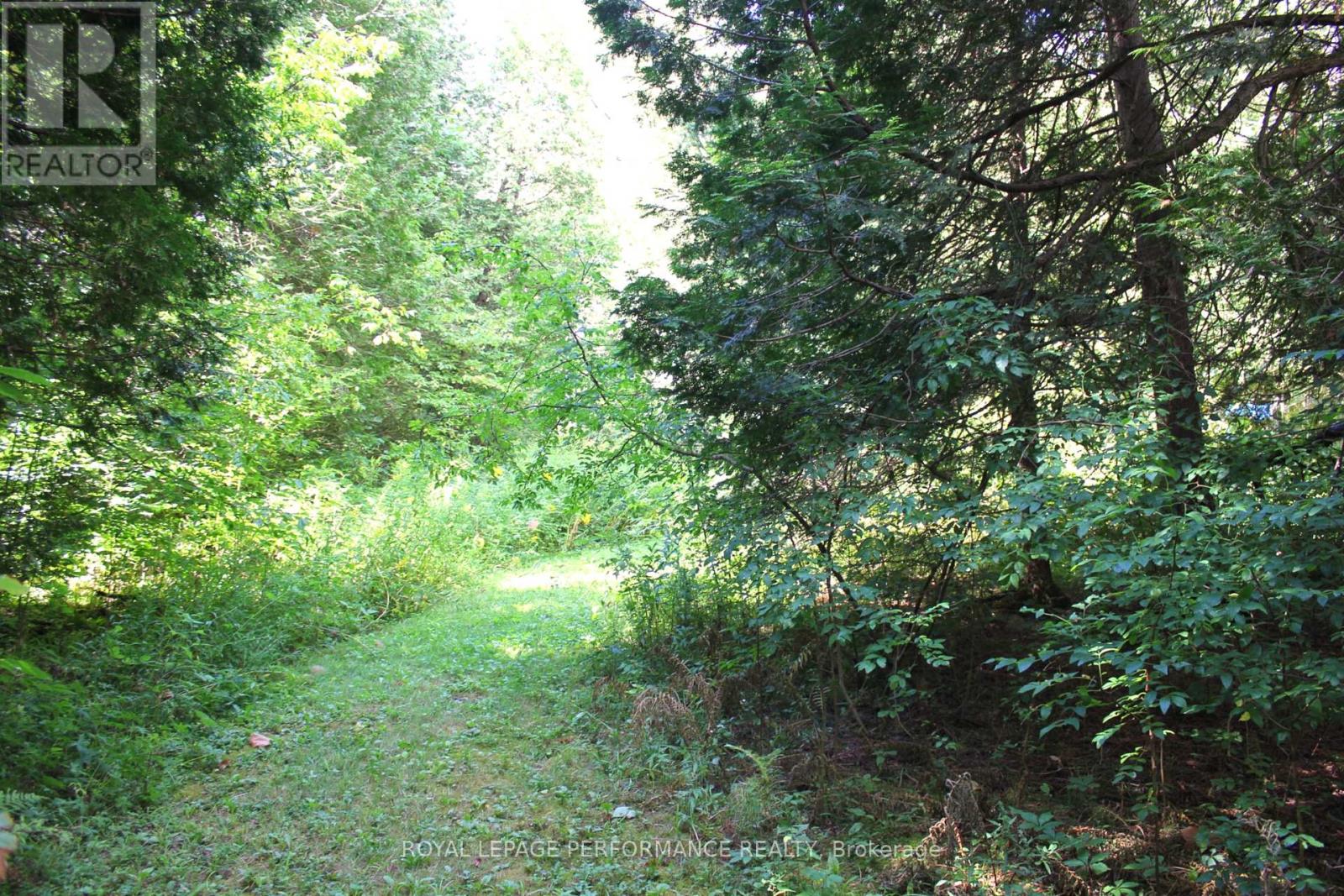 4692 O'keefe Road, South Stormont, Ontario  K0C 2A0 - Photo 43 - X12358897