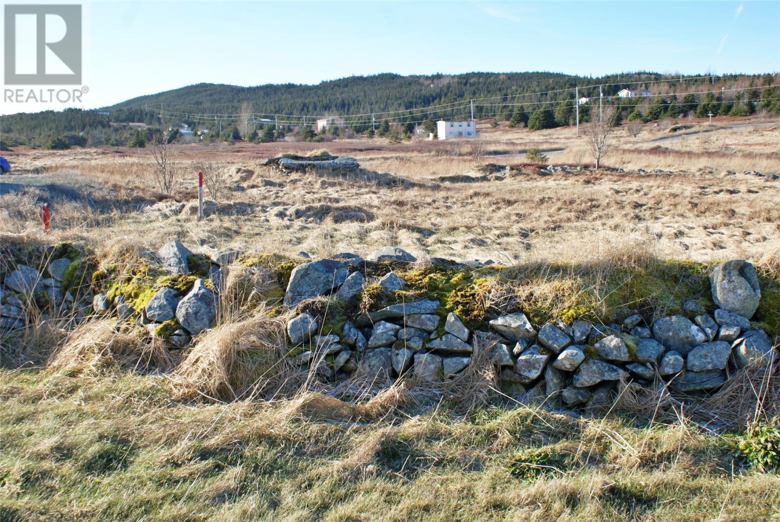 1 Mount Road, Lower Island Cove, Newfoundland & Labrador  A0A 2W0 - Photo 3 - 1289579