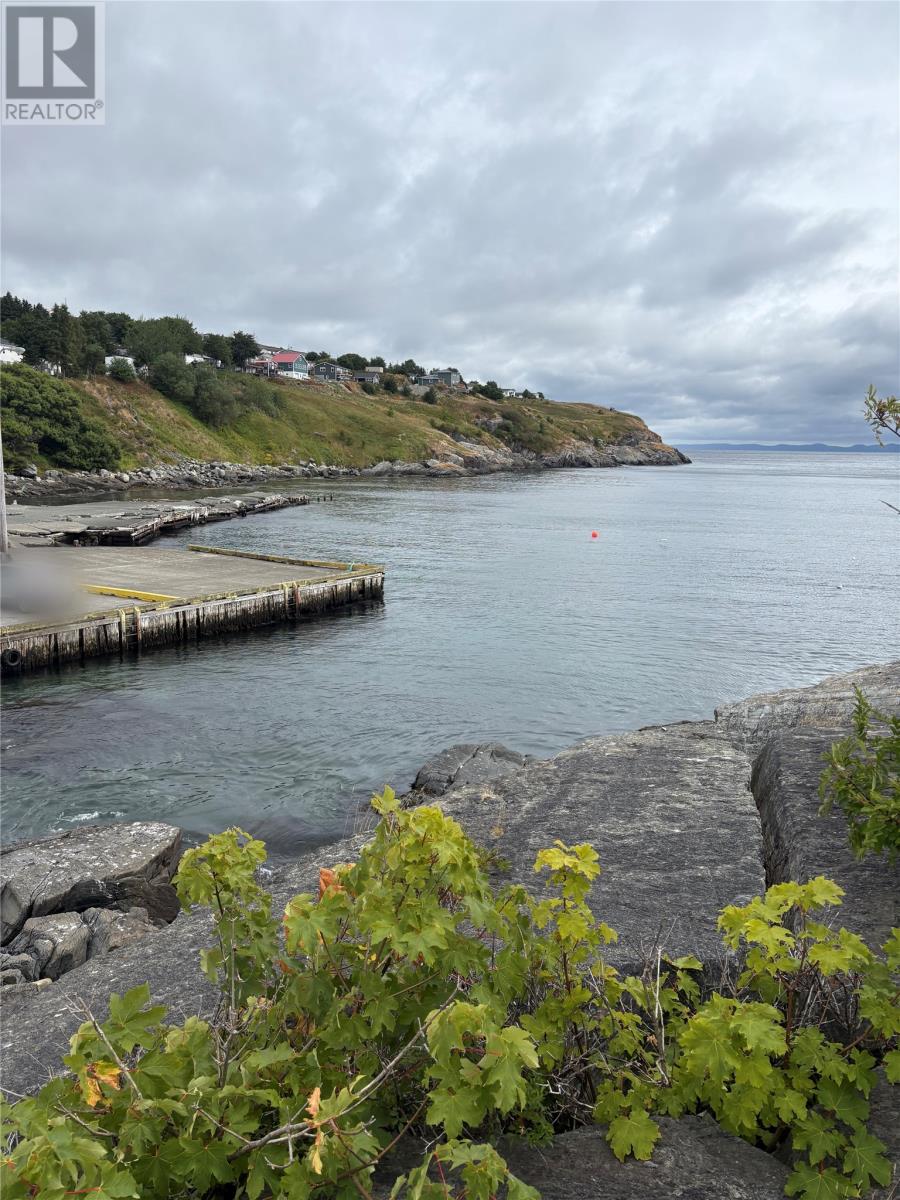 7 Big Lane, Upper Island Cove, Newfoundland & Labrador  A0A 4E0 - Photo 1 - 1289577