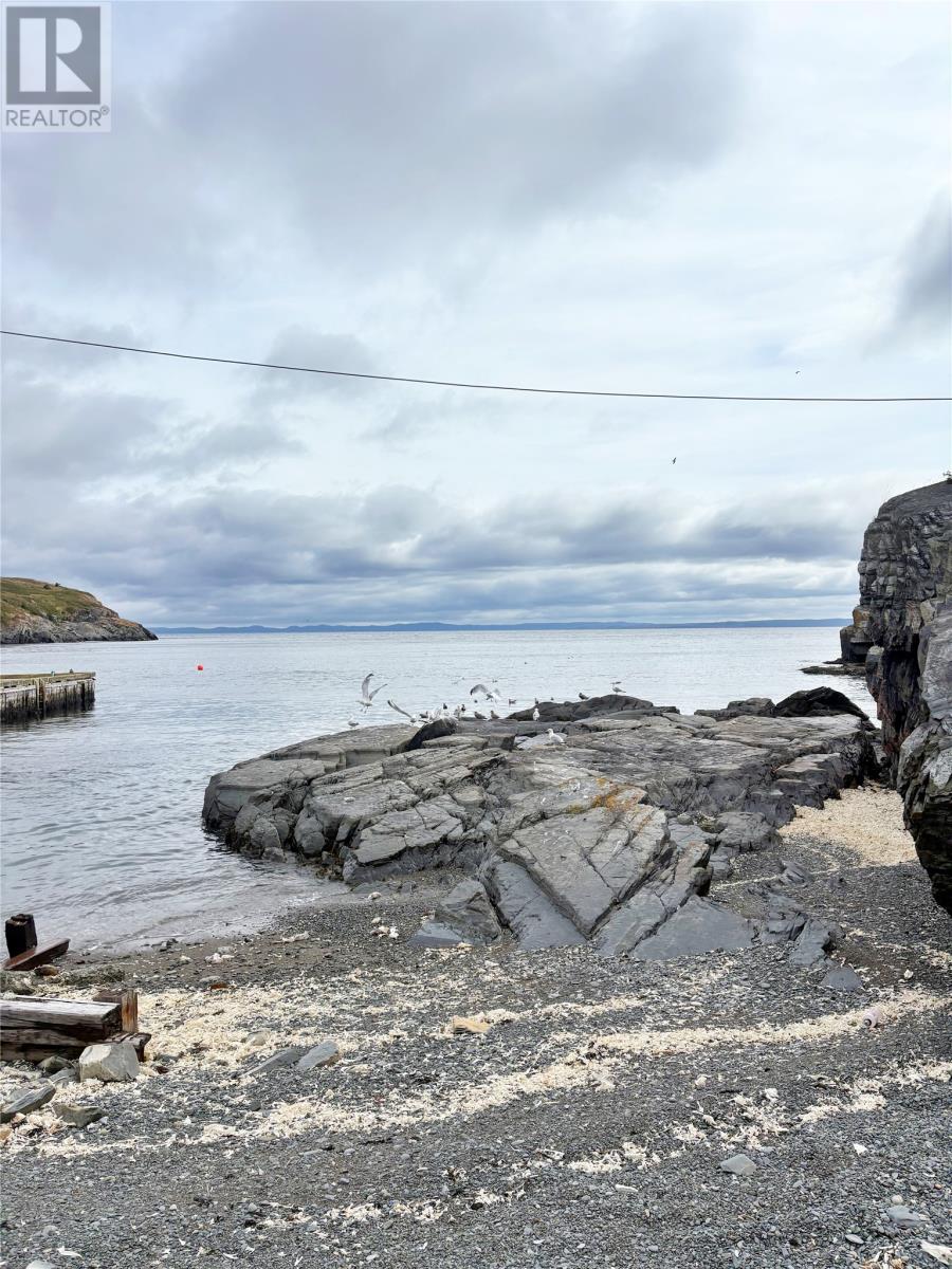 7 Big Lane, Upper Island Cove, Newfoundland & Labrador  A0A 4E0 - Photo 3 - 1289577