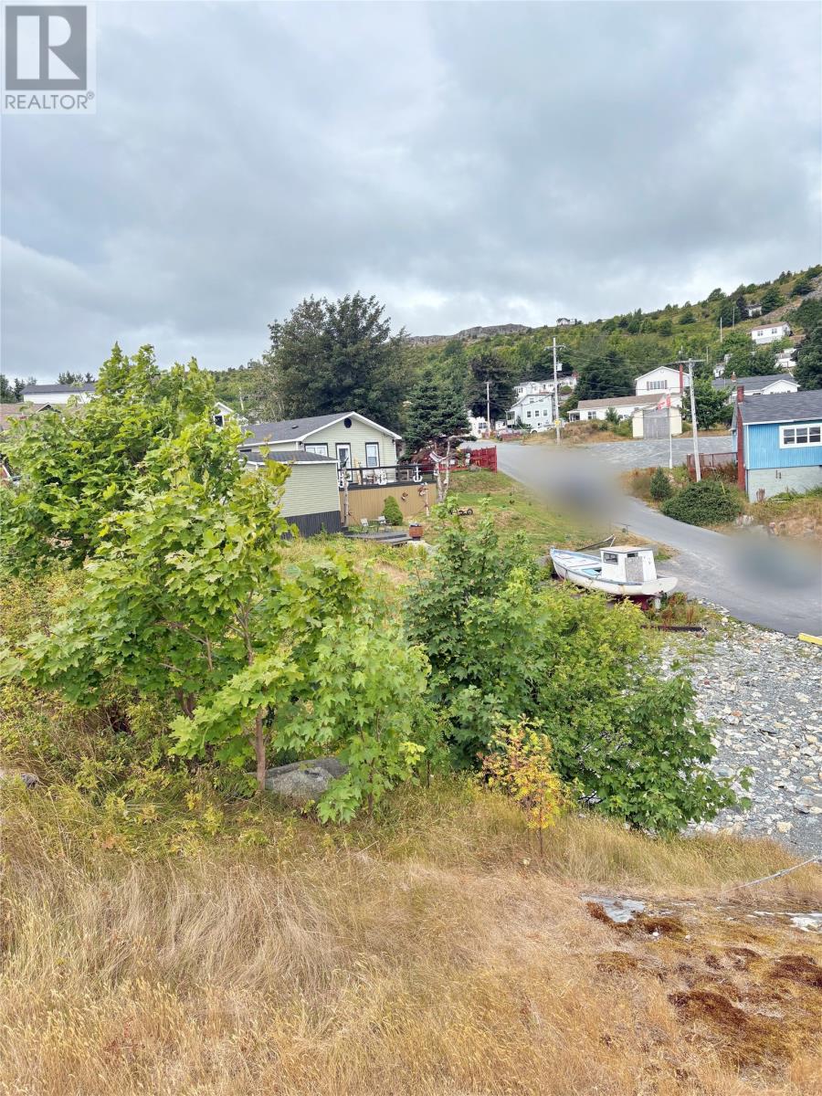 7 Big Lane, Upper Island Cove, Newfoundland & Labrador  A0A 4E0 - Photo 4 - 1289577