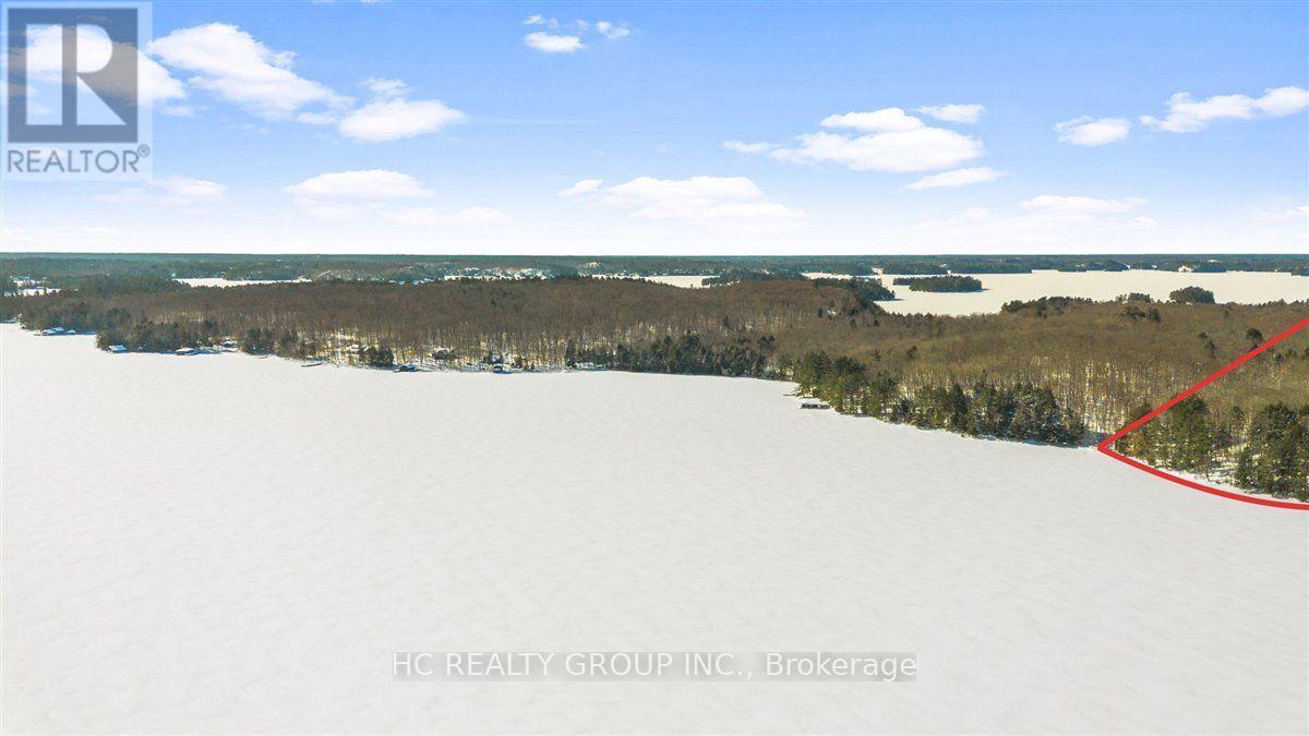 R60- Pt5 Tobins Island, Muskoka Lakes, Ontario  P0B 1J0 - Photo 10 - X12016966