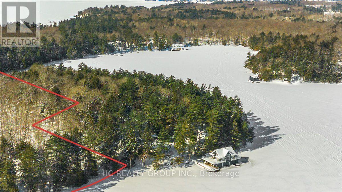 R60- Pt5 Tobins Island, Muskoka Lakes, Ontario  P0B 1J0 - Photo 17 - X12016966