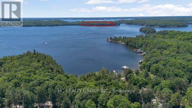 R60- Pt5 Tobins Island, Muskoka Lakes, Ontario  P0B 1J0 - Photo 24 - X12016966