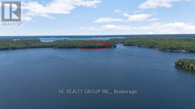 R60- Pt5 Tobins Island, Muskoka Lakes, Ontario  P0B 1J0 - Photo 3 - X12016966