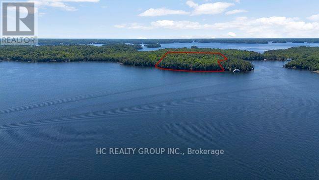 R60- Pt5 Tobins Island, Muskoka Lakes, Ontario  P0B 1J0 - Photo 26 - X12016966