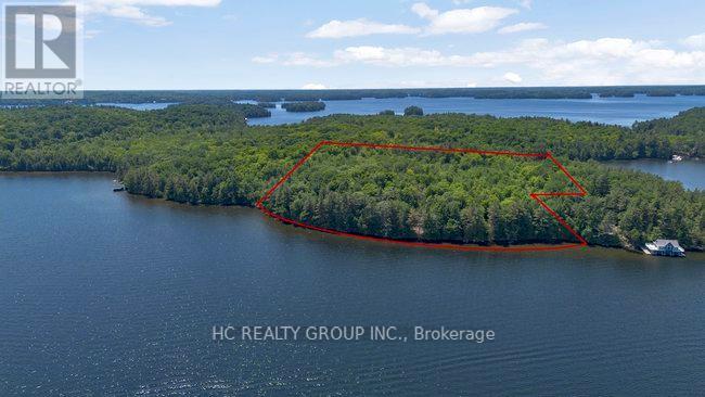 R60- Pt5 Tobins Island, Muskoka Lakes, Ontario  P0B 1J0 - Photo 28 - X12016966