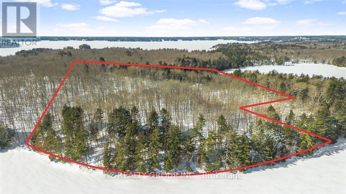 R60- Pt5 Tobins Island, Muskoka Lakes, Ontario  P0B 1J0 - Photo 8 - X12016966