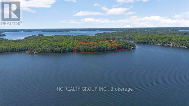 R60- Pt5 Tobins Island, Muskoka Lakes, Ontario  P0B 1J0 - Photo 35 - X12016966