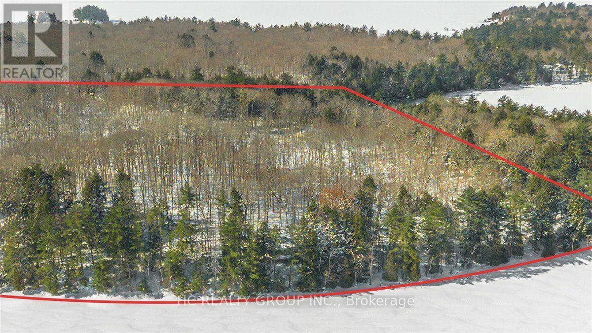 R60- Pt5 Tobins Island, Muskoka Lakes, Ontario  P0B 1J0 - Photo 9 - X12016966