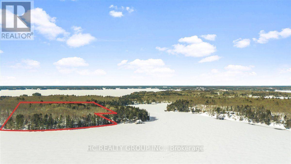 R60- Pt5 Tobins Island, Muskoka Lakes, Ontario  P0B 1J0 - Photo 15 - X12016966