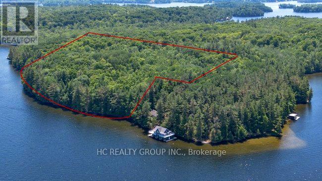 R60- Pt5 Tobins Island, Muskoka Lakes, Ontario  P0B 1J0 - Photo 27 - X12016966