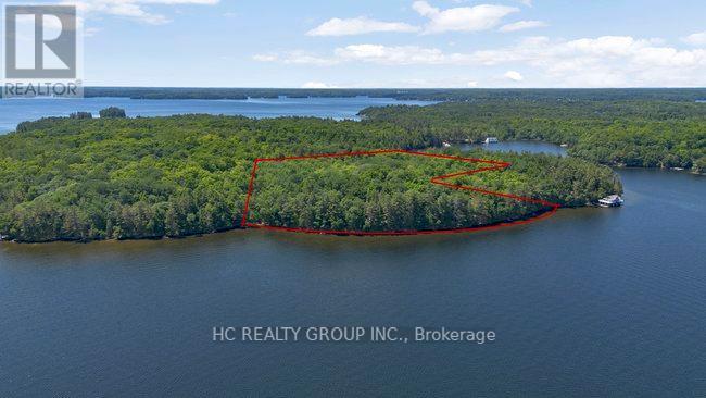 R60- Pt5 Tobins Island, Muskoka Lakes, Ontario  P0B 1J0 - Photo 29 - X12016966