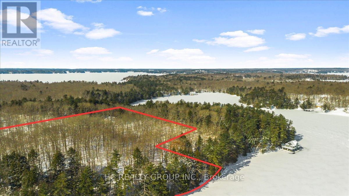 R60- Pt5 Tobins Island, Muskoka Lakes, Ontario  P0B 1J0 - Photo 6 - X12016966