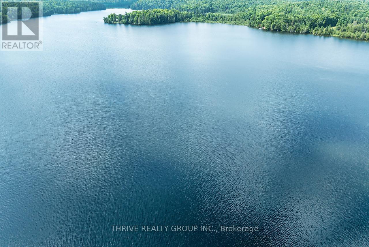 66 Bridge Street, Addington Highlands, Ontario  K0H 1L0 - Photo 49 - X12359172