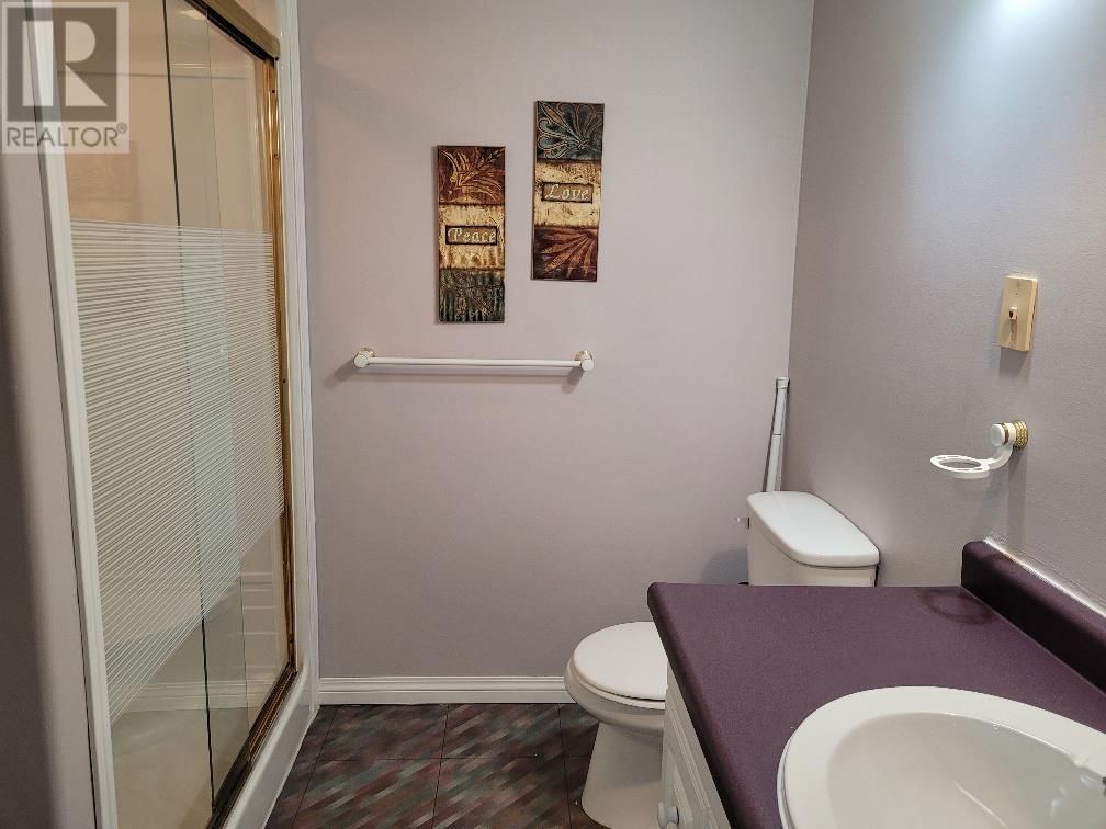 227 West River Rd, Dryden, Ontario  P8N 0A2 - Photo 23 - TB251834