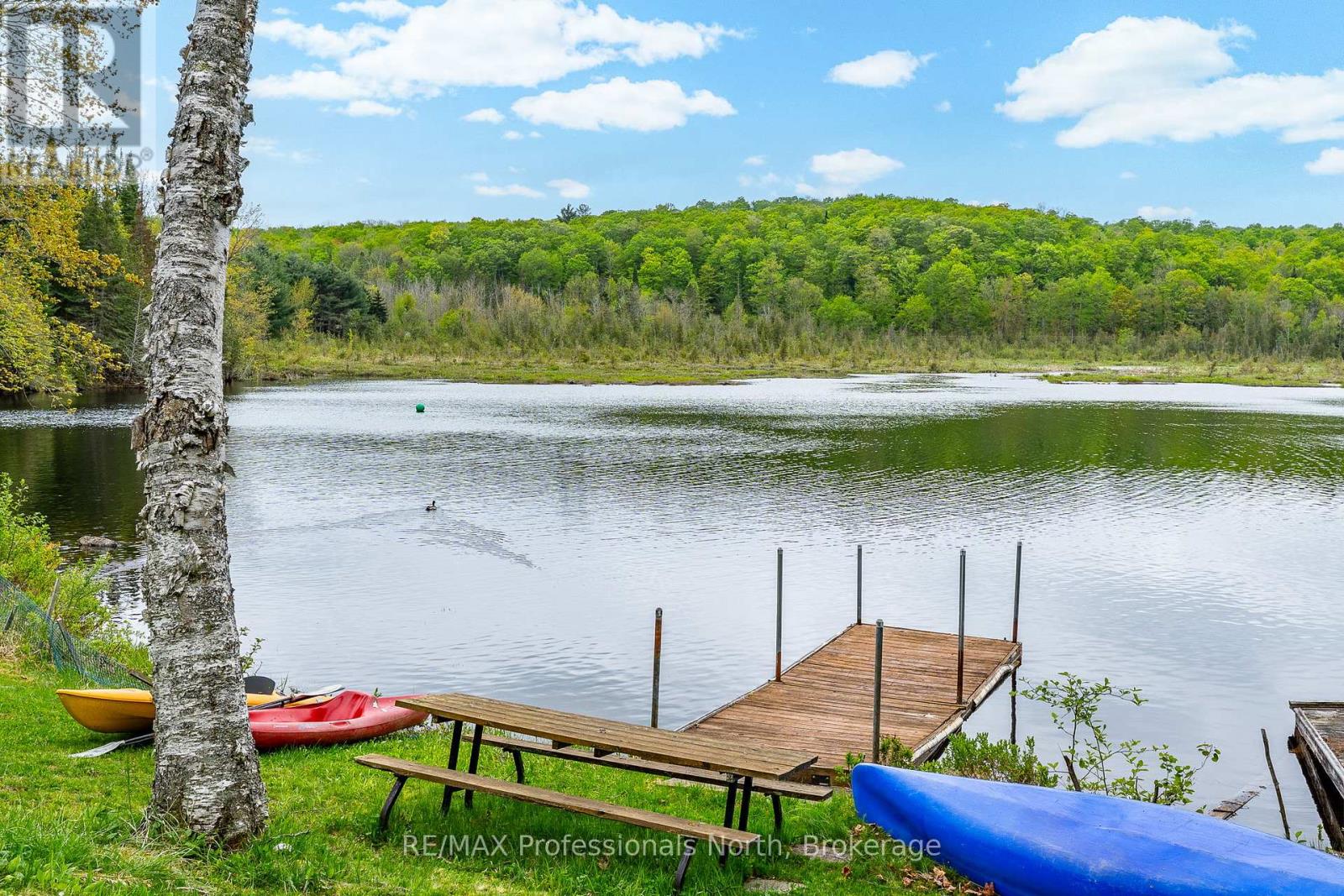 3539 County Road 21, Minden Hills, Ontario  K0M 1S0 - Photo 39 - X12359288