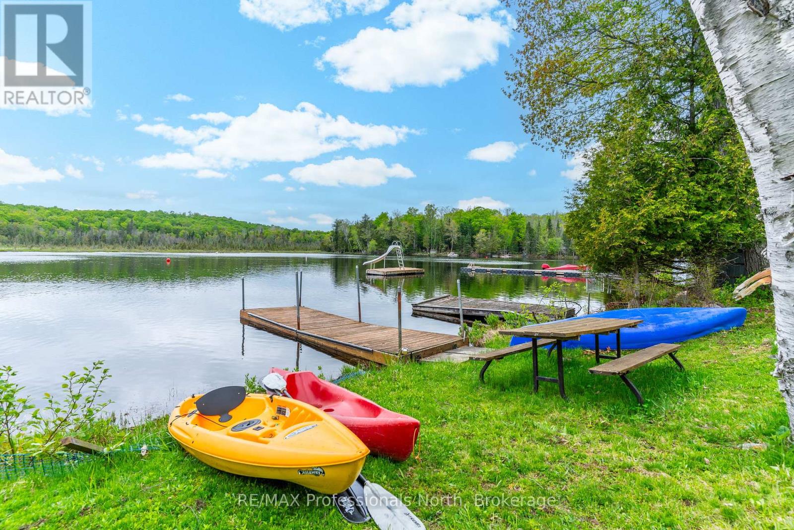 3539 County Road 21, Minden Hills, Ontario  K0M 1S0 - Photo 4 - X12359288
