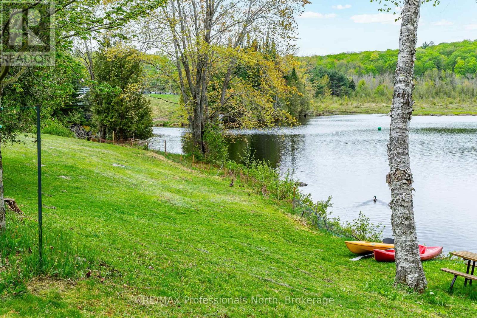 3539 County Road 21, Minden Hills, Ontario  K0M 1S0 - Photo 40 - X12359288