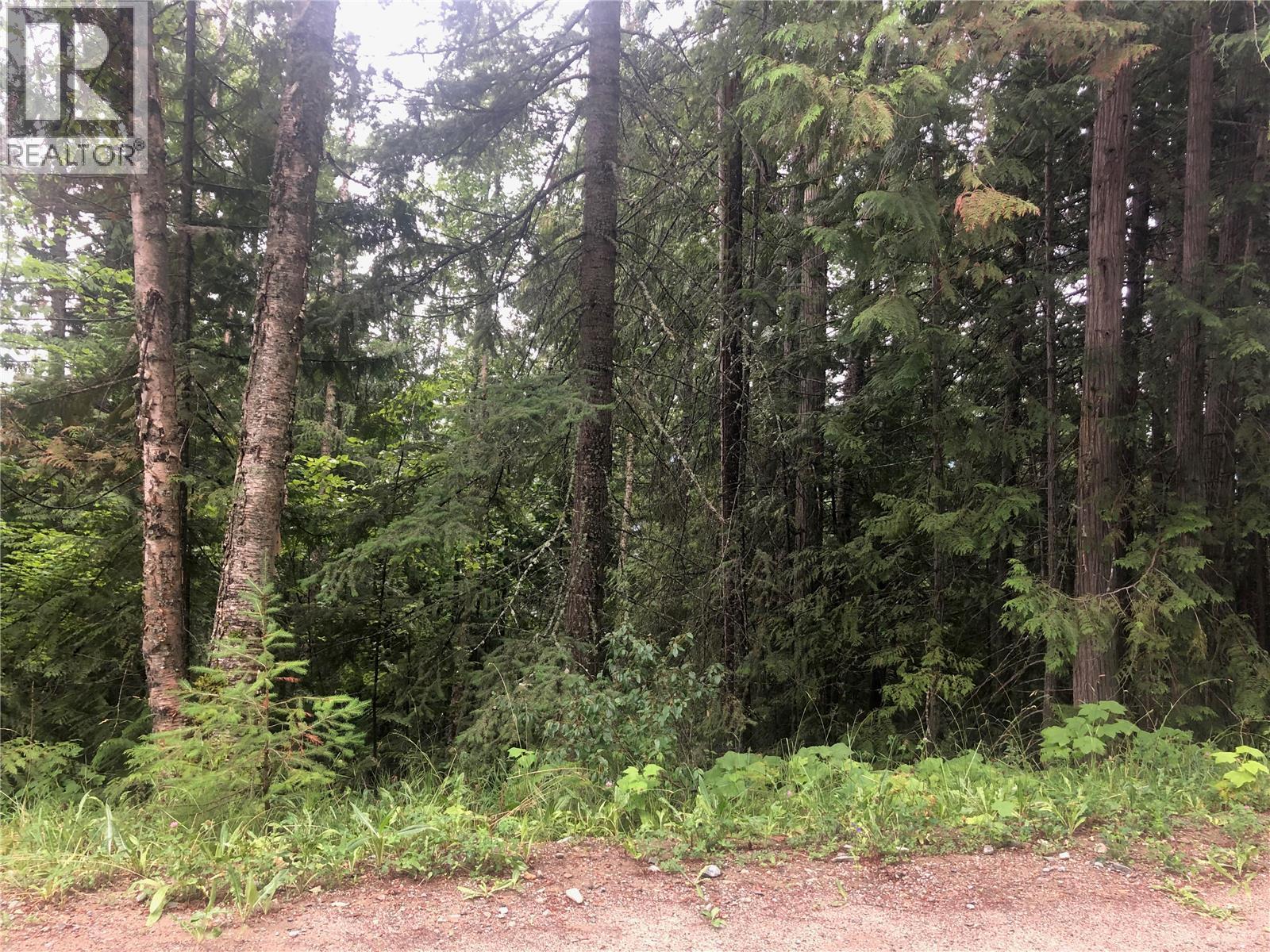 Vickers Trail Lot# 36, Anglemont, British Columbia  V0E 1M8 - Photo 1 - 10359899