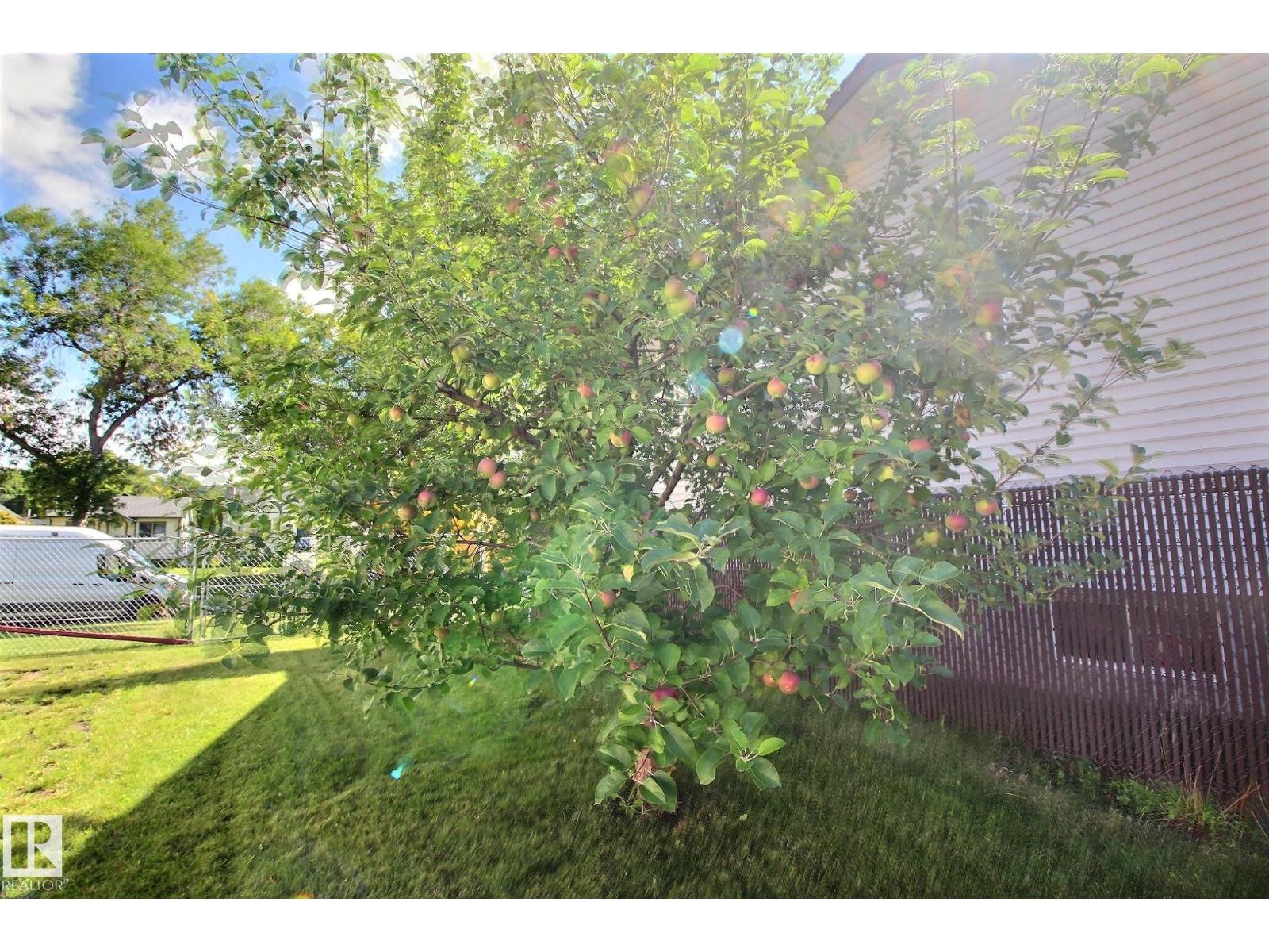 11512 67 St Nw, Edmonton, Alberta  T5B 1L7 - Photo 32 - E4454256