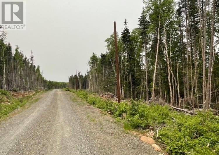 14 Paradise Road, Miller Town, Newfoundland & Labrador  A0A 1V0 - Photo 1 - 1289583