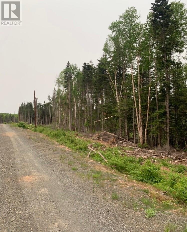 14 Paradise Road, Miller Town, Newfoundland & Labrador  A0A 1V0 - Photo 2 - 1289583