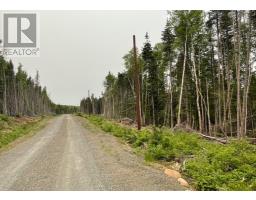 14 Paradise Road, Miller Town, Newfoundland & Labrador