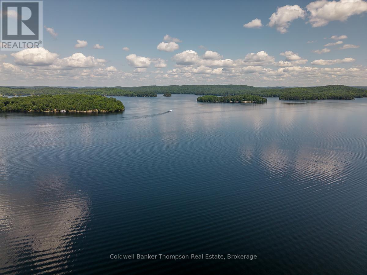 1381 Old 117, Lake Of Bays, Ontario  P0B 1A0 - Photo 50 - X12359481