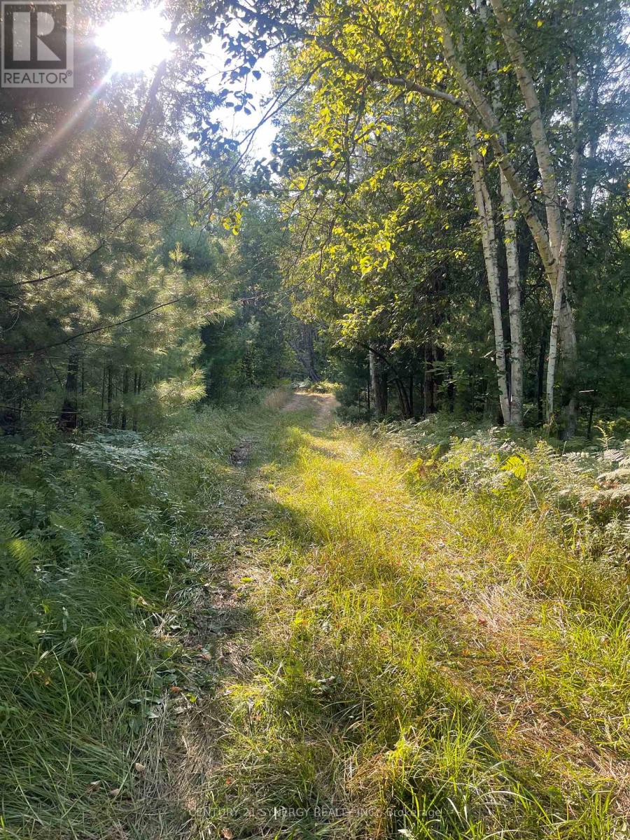 756 Bellamy Mills Road, Mississippi Mills, Ontario  K0A 1A0 - Photo 36 - X12358114