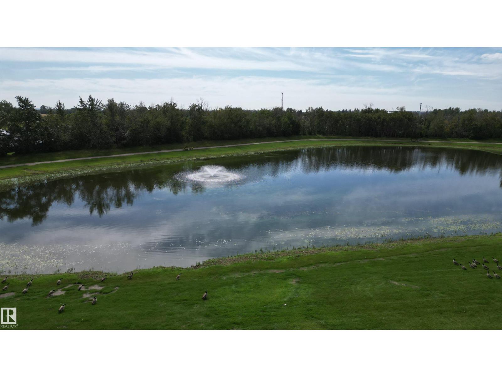 2438 Lakeview Ba Nw Nw, Edmonton, Alberta  T5S 1T7 - Photo 33 - E4454285
