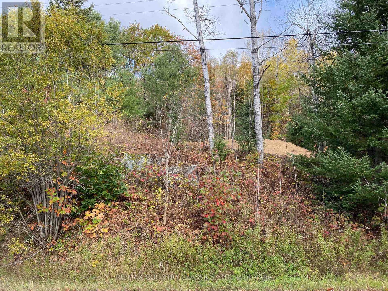 178 Gaebel Road, Bancroft, Ontario  K0L 1C0 - Photo 18 - X12081680