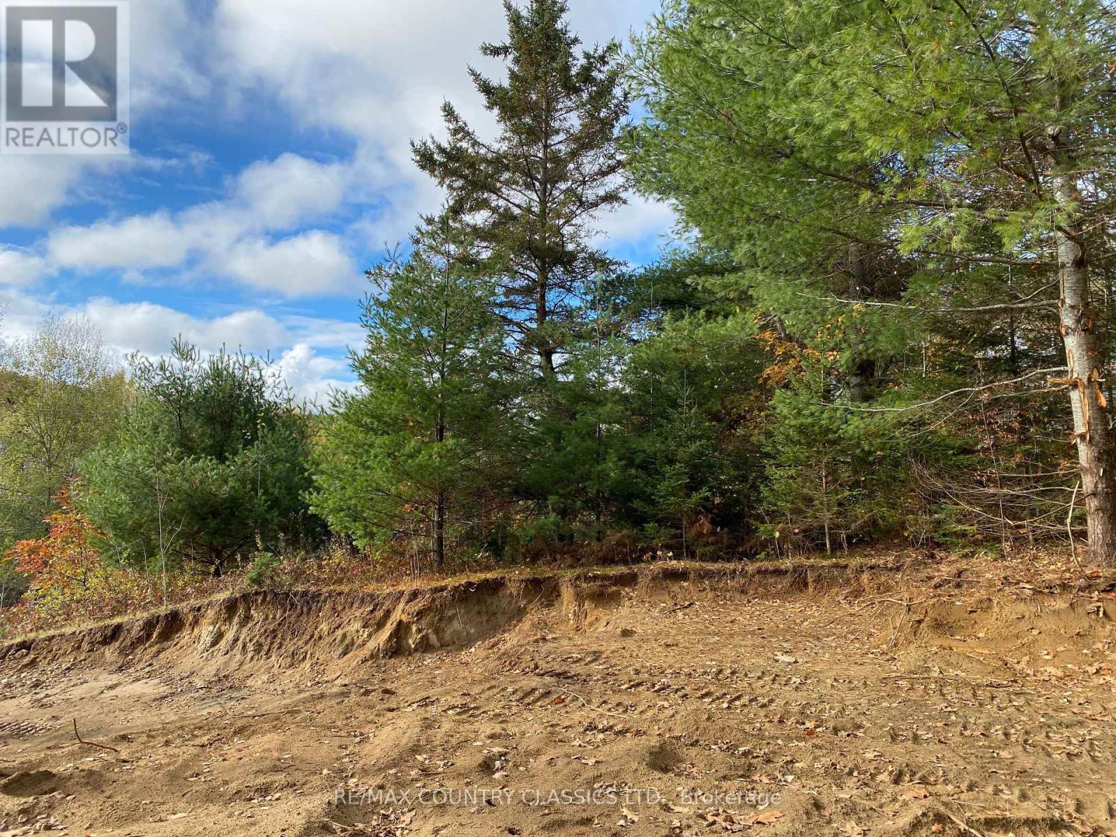178 Gaebel Road, Bancroft, Ontario  K0L 1C0 - Photo 11 - X12081680