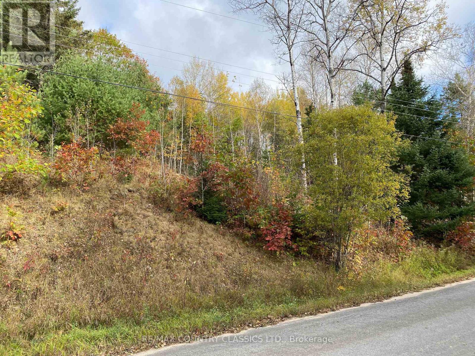 178 Gaebel Road, Bancroft, Ontario  K0L 1C0 - Photo 19 - X12081680