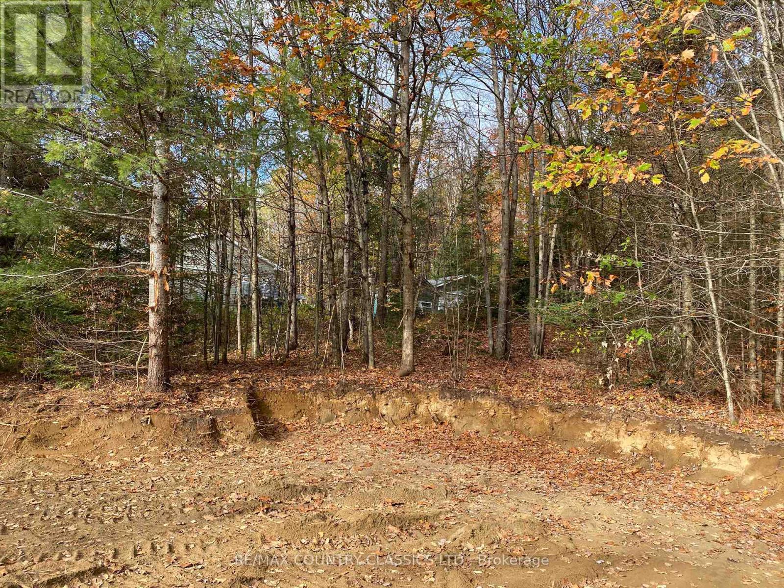 178 Gaebel Road, Bancroft, Ontario  K0L 1C0 - Photo 13 - X12081680