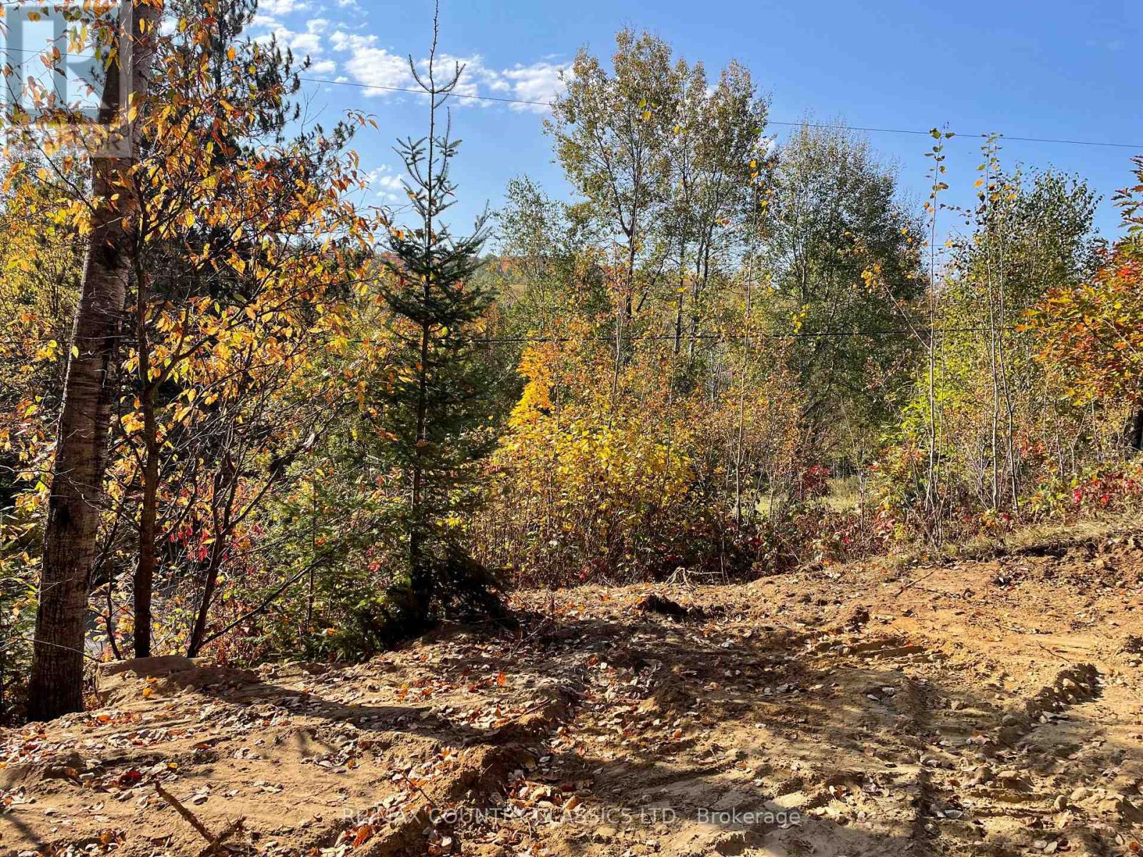 178 Gaebel Road, Bancroft, Ontario  K0L 1C0 - Photo 3 - X12081680