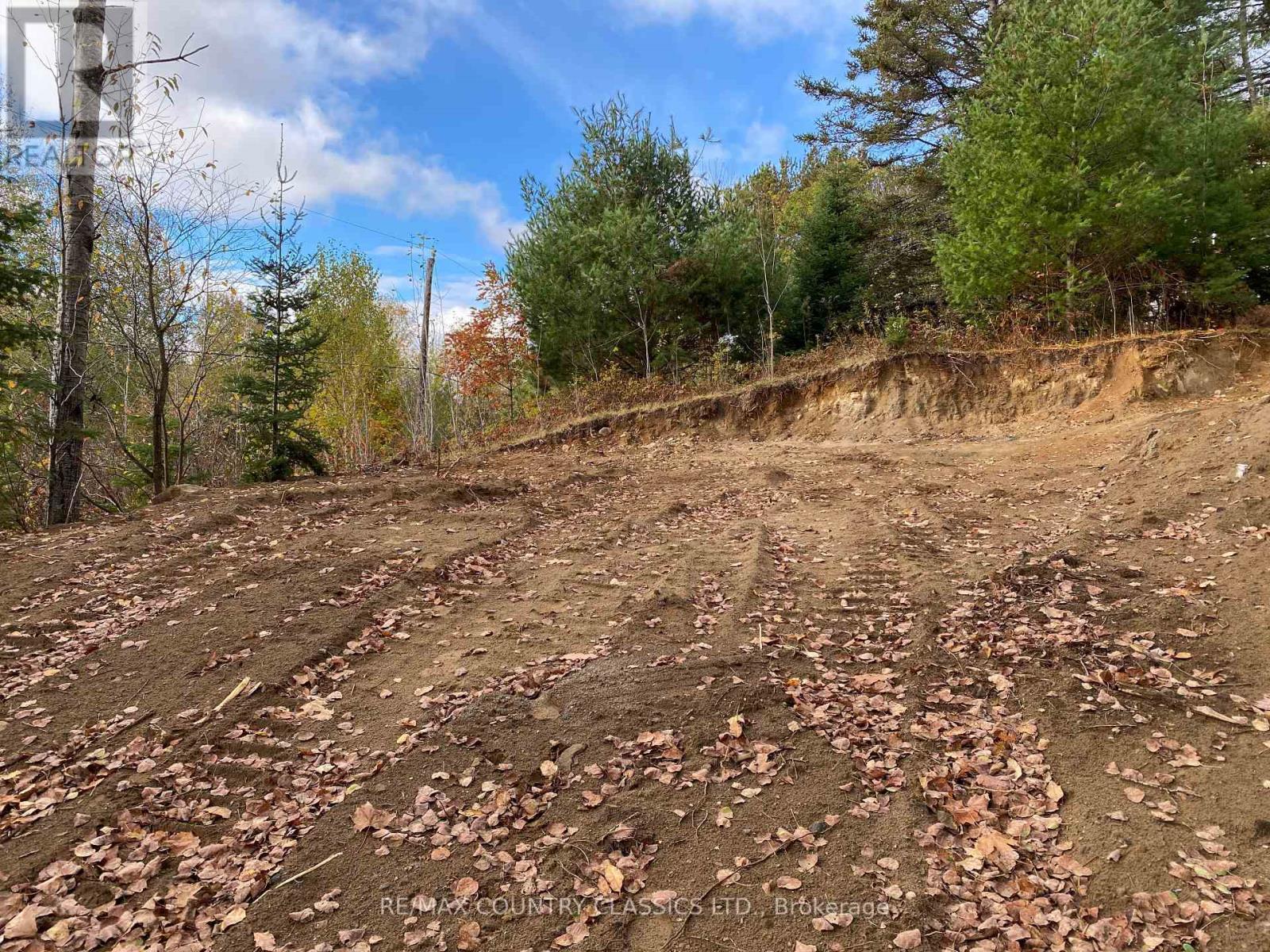 178 Gaebel Road, Bancroft, Ontario  K0L 1C0 - Photo 17 - X12081680