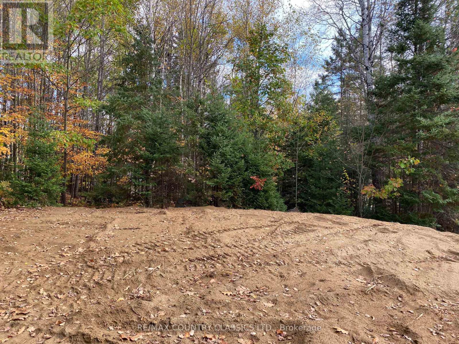 178 Gaebel Road, Bancroft, Ontario  K0L 1C0 - Photo 7 - X12081680