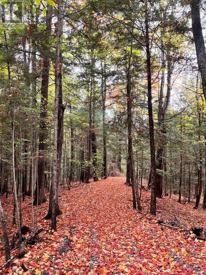 0 Lot Syer Line, Cavan Monaghan, Ontario  L0A 1A0 - Photo 3 - X12359612