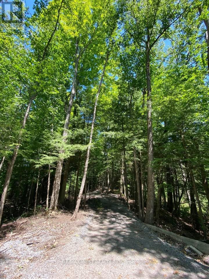 0 Lot Syer Line, Cavan Monaghan, Ontario  L0A 1A0 - Photo 4 - X12359612