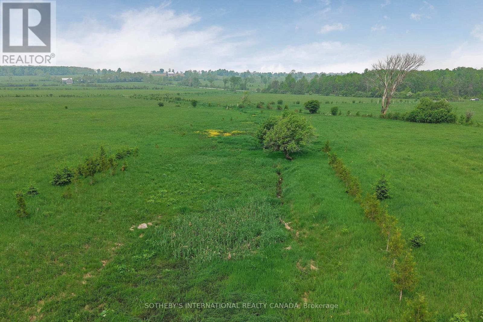 Lt24 Con 4 Sydenham, Meaford, Ontario  N0H 1B0 - Photo 20 - X12359701
