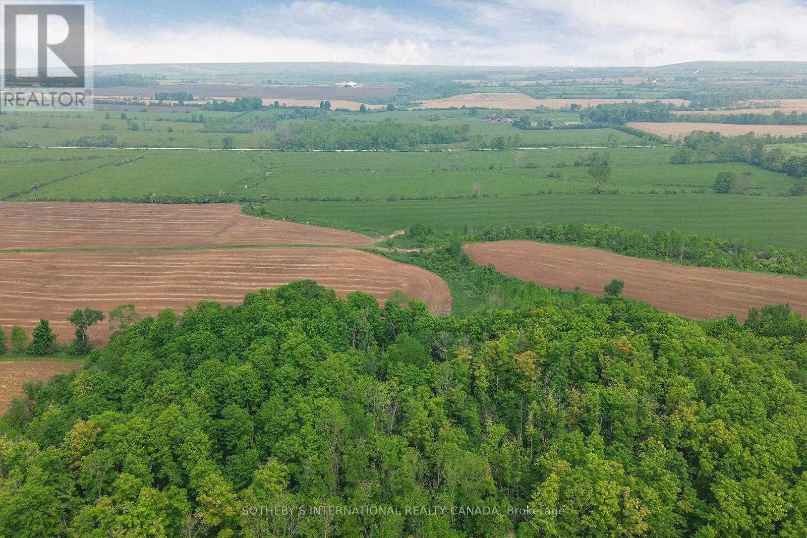 Lt24 Con 4 Sydenham, Meaford, Ontario  N0H 1B0 - Photo 21 - X12359701