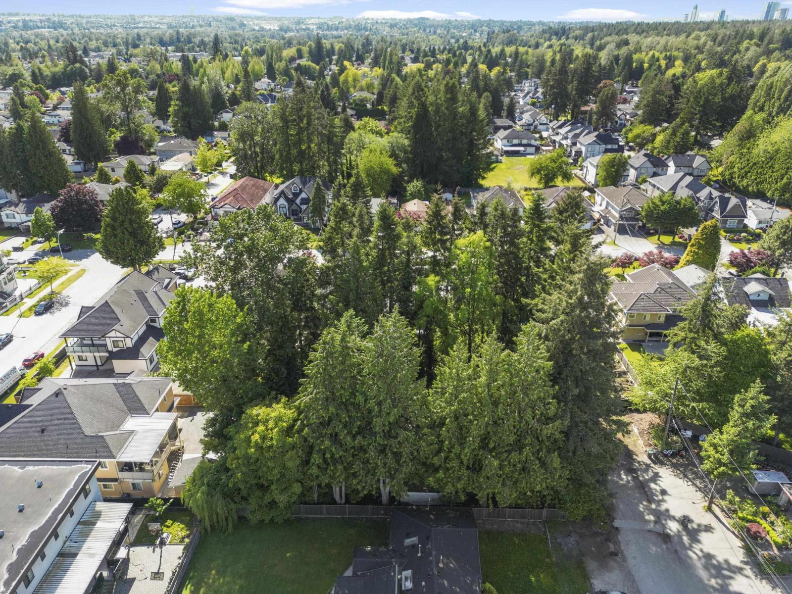 14924 90a Avenue, Surrey, British Columbia  V3R 1B4 - Photo 6 - R3004764