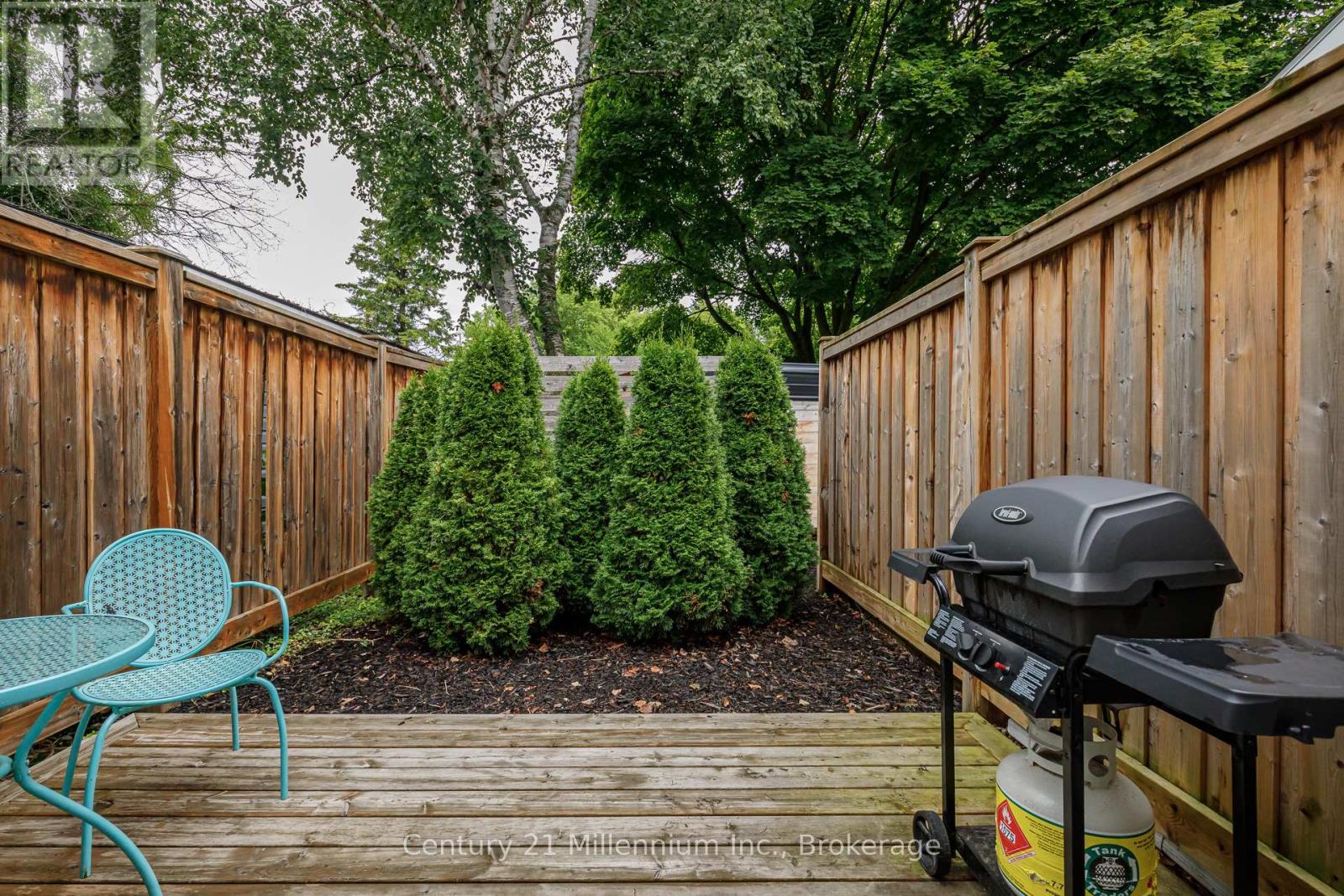 421 Napier Street, Collingwood, Ontario  L9Y 3T8 - Photo 47 - S12359870