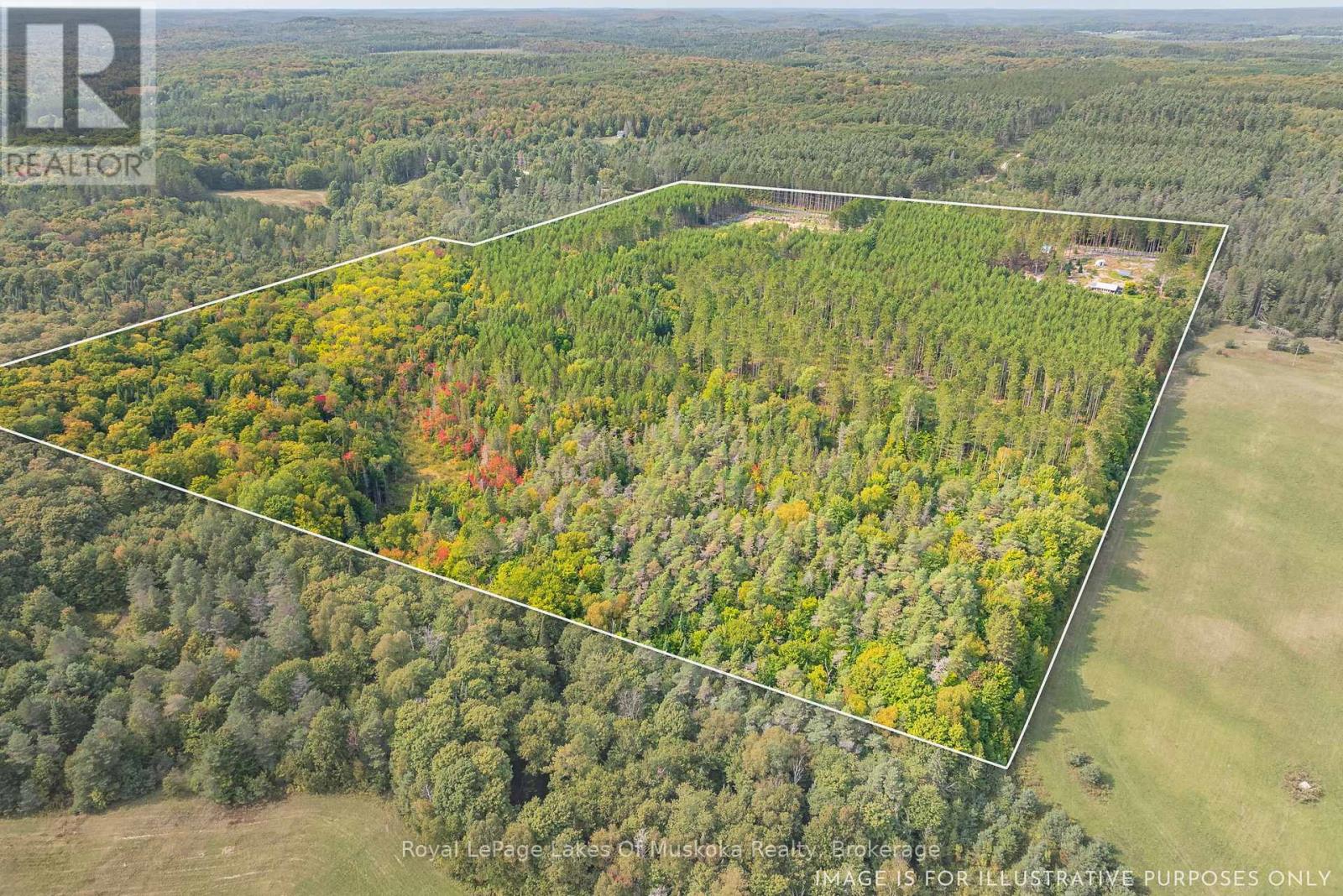 165 James Camp Road, Ryerson, Ontario  P0A 1C0 - Photo 33 - X12359877