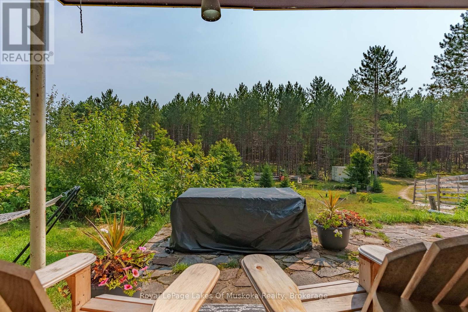 165 James Camp Road, Ryerson, Ontario  P0A 1C0 - Photo 35 - X12359877