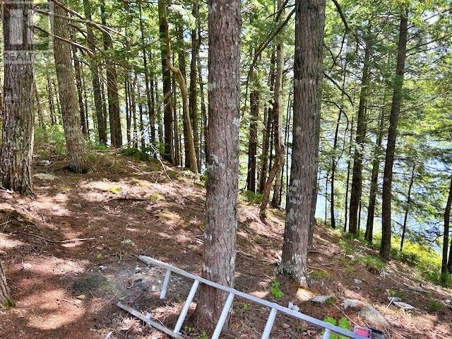 1235 Woodstock Road, Clearland, Nova Scotia  B0J 2E0 - Photo 20 - 202521413