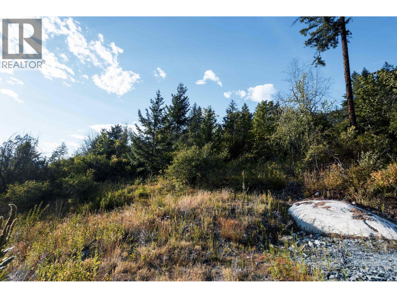 9002 Sun God Mountain Way, Pemberton, British Columbia  V0N 2L3 - Photo 3 - R3039713